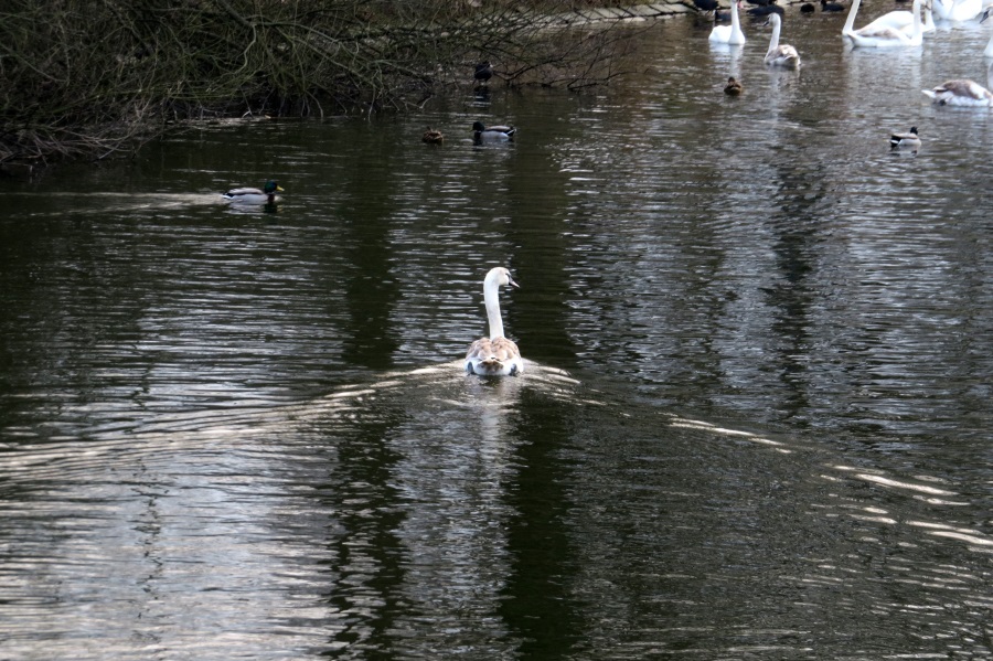 image140.JPG