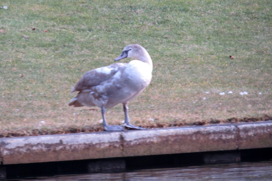 image152.JPG