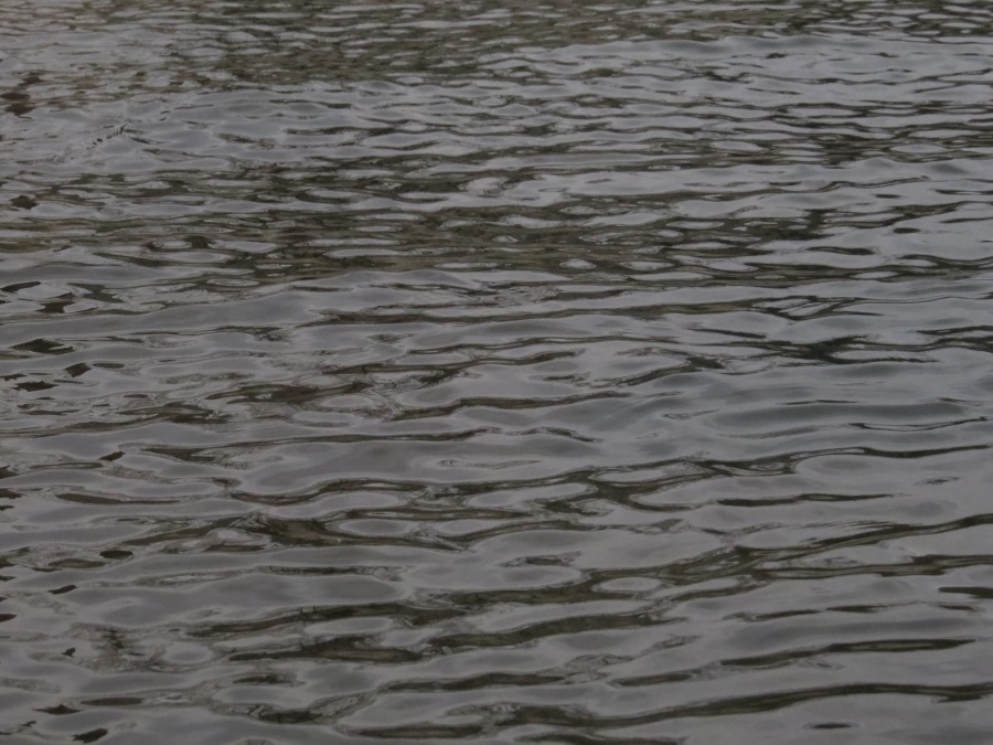 image4.JPG
