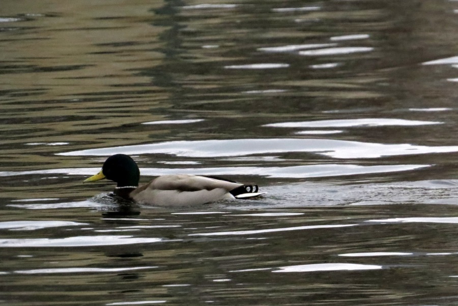 image5.JPG