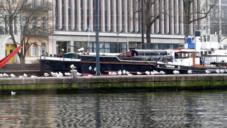 image50.JPG