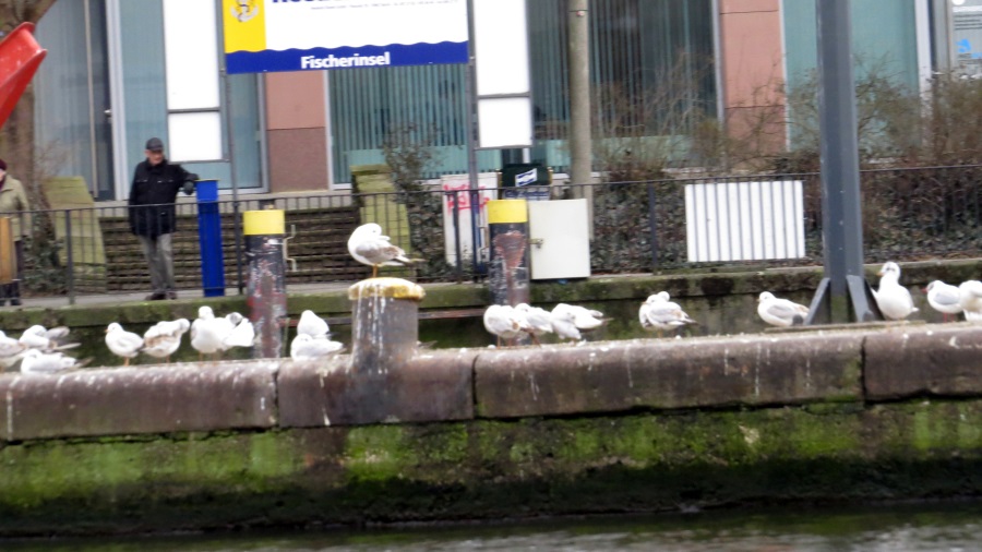 image51.JPG