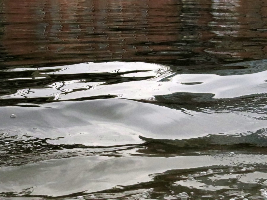 image6.JPG