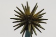 thumbnail120.JPG