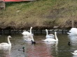 thumbnail143.JPG