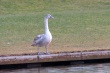 thumbnail153.JPG