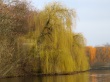 thumbnail159.JPG