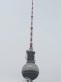 thumbnail168.jpg