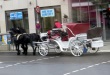 thumbnail199.JPG