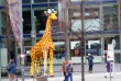 thumbnail204.JPG