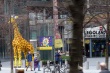 thumbnail205.JPG