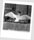 thumbnail36.JPG