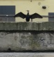 thumbnail37.JPG
