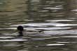 thumbnail5.JPG