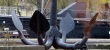 thumbnail56.jpg