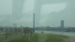 thumbnail24.jpg