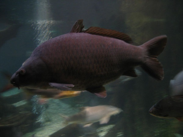 image0.jpg
