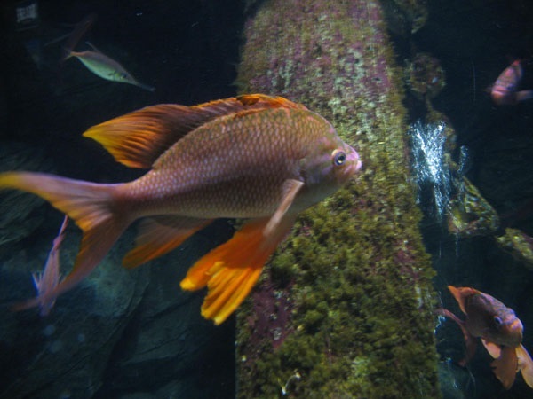 image1.jpg