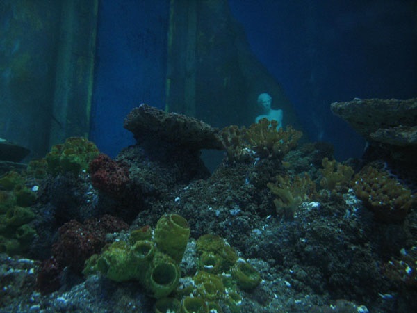 image10.jpg
