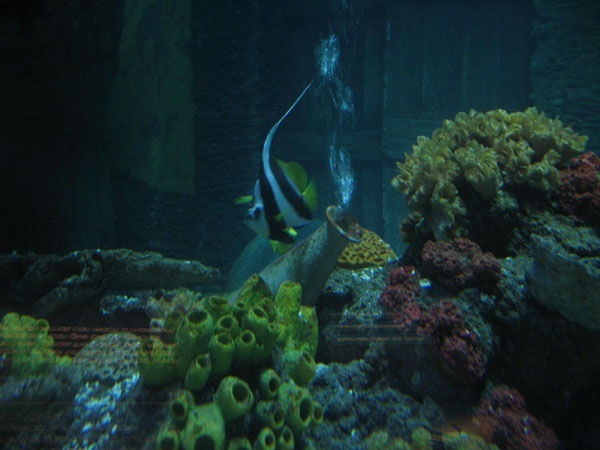 image11.jpg