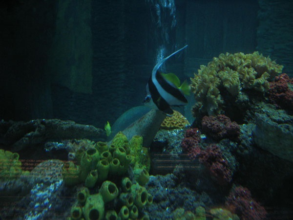 image12.jpg
