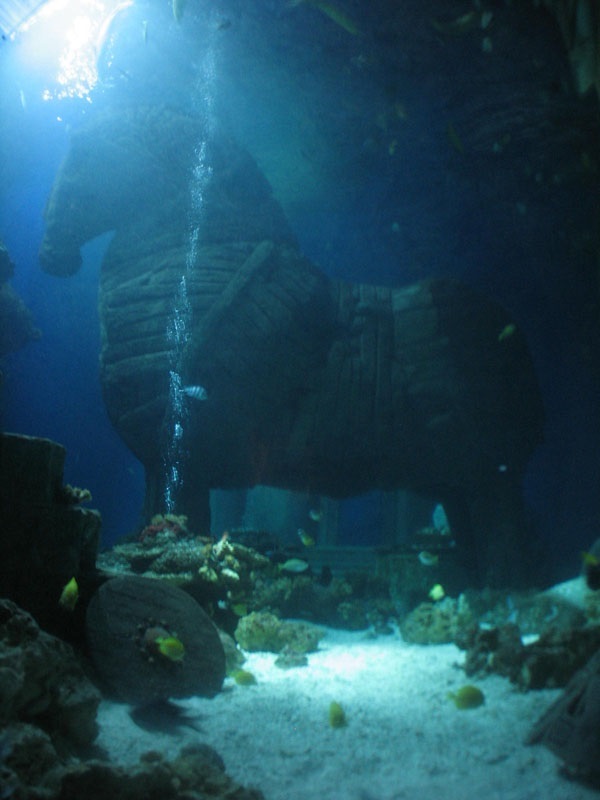 image13.jpg