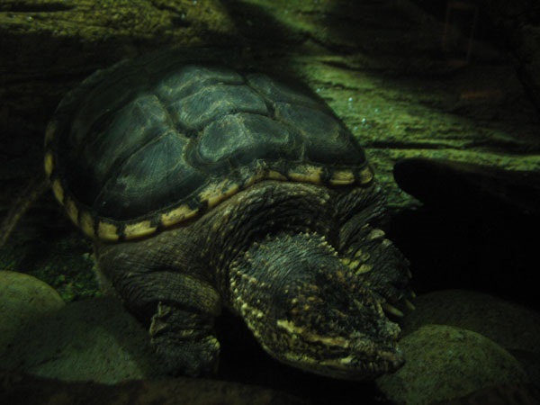 image14.jpg