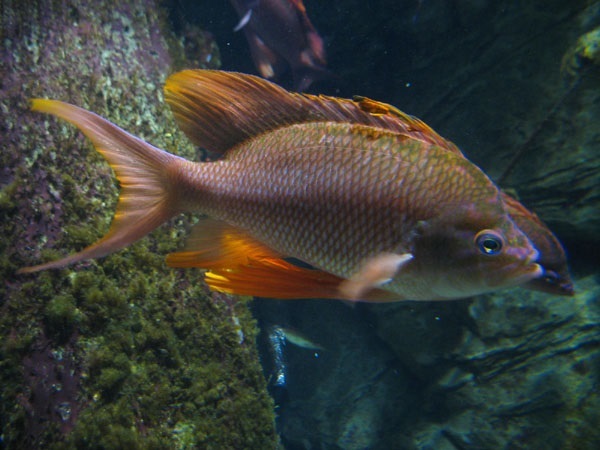 image2.jpg