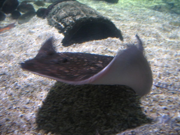 image5.jpg