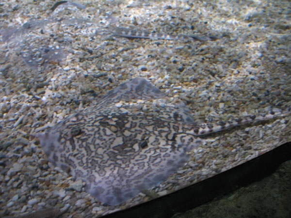 image6.jpg