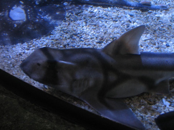 image9.jpg