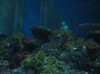 thumbnail10.jpg