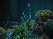 thumbnail11.jpg