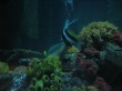 thumbnail12.jpg