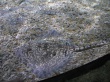 thumbnail6.jpg