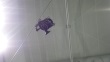 thumbnail16.jpg