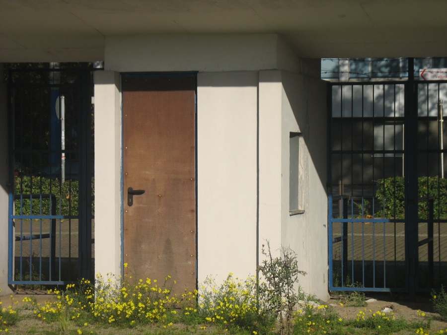 image26.JPG