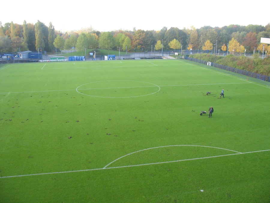 image4.JPG